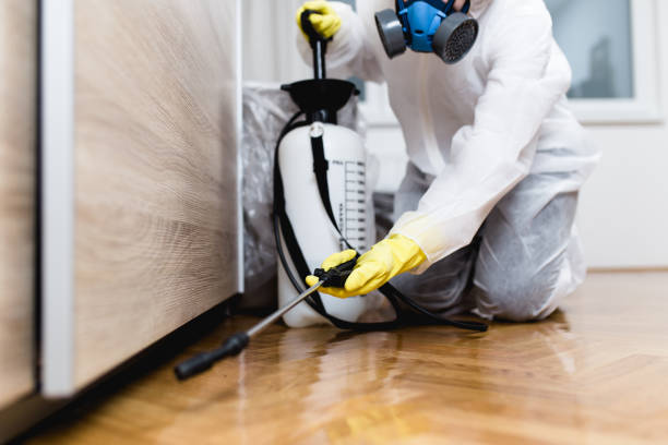 Best Rat Extermination Near Me  in Ladysmith, WI