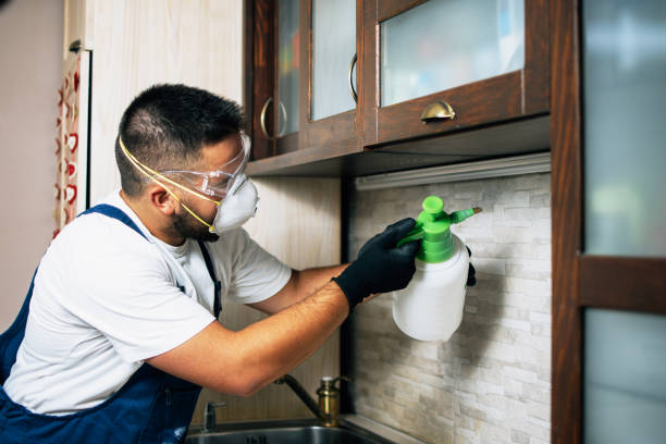 Best Best Pest Control Companies  in Ladysmith, WI