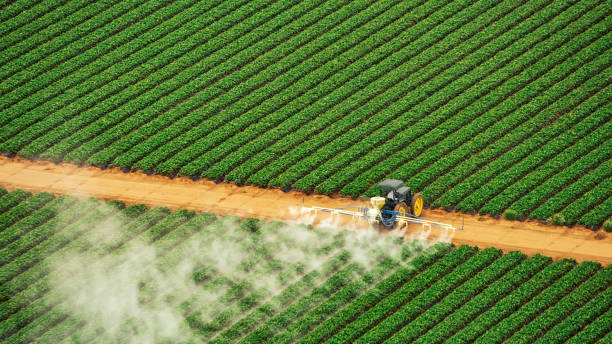 Pest Prevention Services in Ladysmith, WI