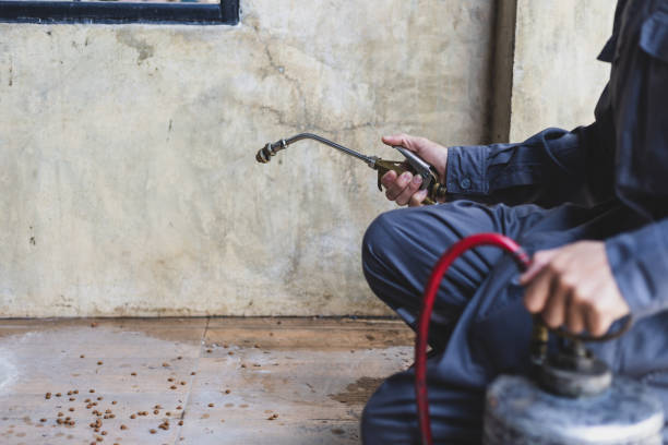 Best Wasp Removal Services  in Ladysmith, WI
