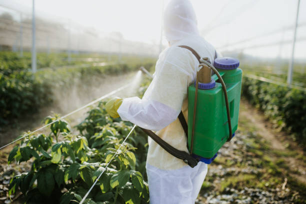 Best Best Pest Control Companies  in Ladysmith, WI